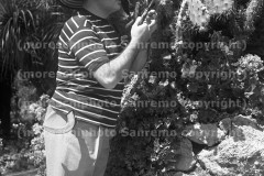 Talegalli-comico027