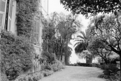 villa Meridiana 1948 il giardino (1)