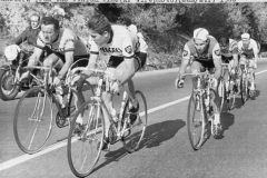 1966 Durante Mercz Poulidor Blmanion