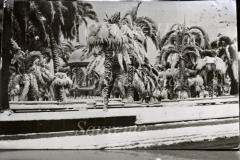 Nevicata 1929 giardini 0072