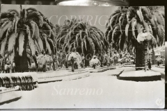Nevicata 1929 giardini 0073